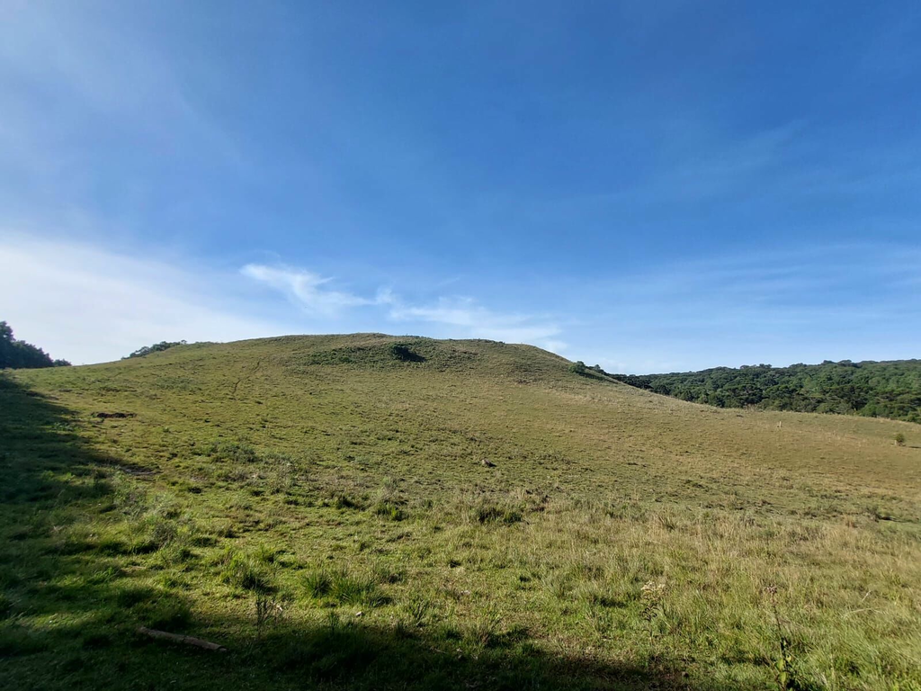 Fazenda, 1 m² - Foto 14