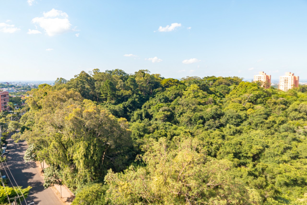 Apartamento, 3 quartos, 73 m² - Foto 82