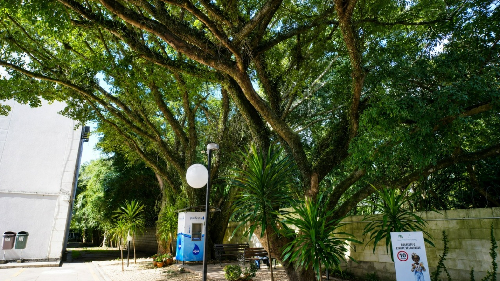 Apartamento, 2 quartos, 43 m² - Foto 9