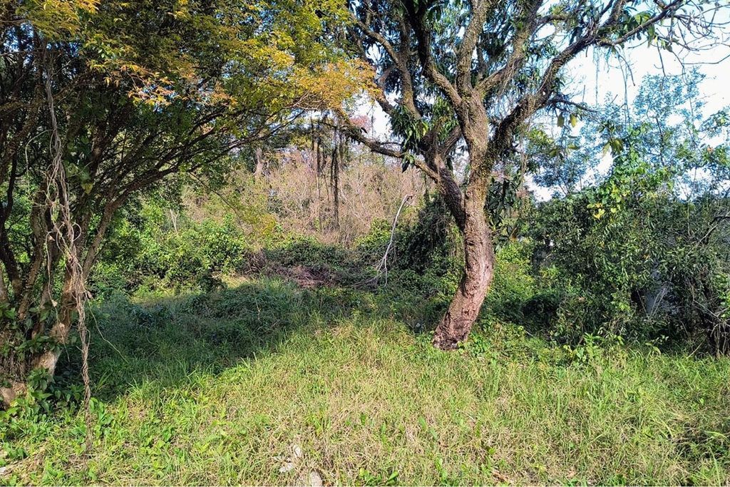 Terreno, 261 m² - Foto 10