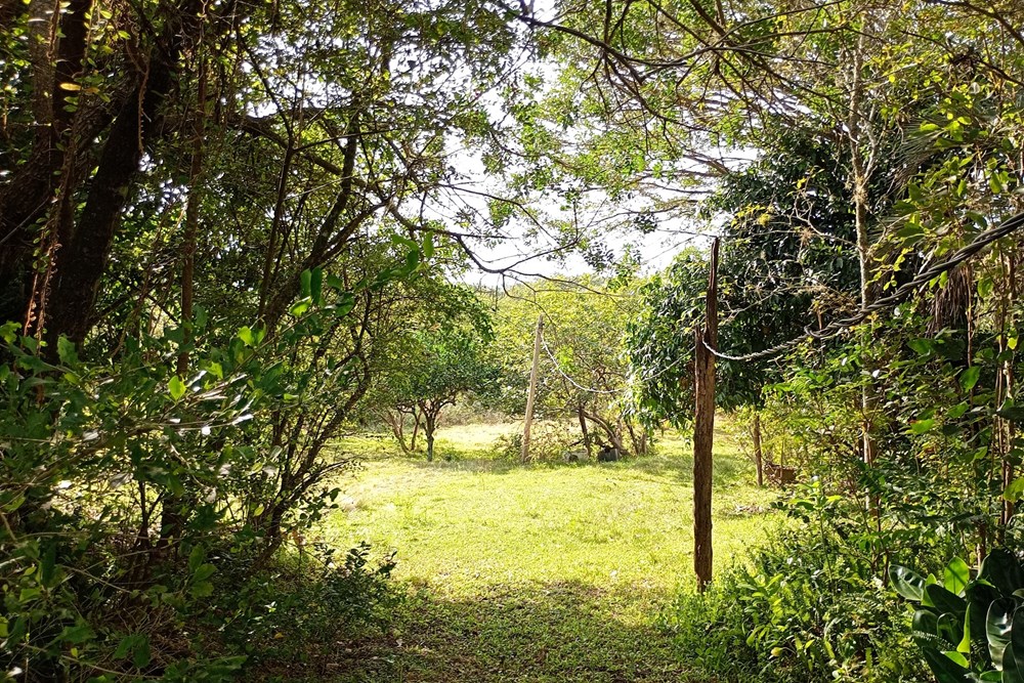 Sítio, 44076 m² - Foto 25