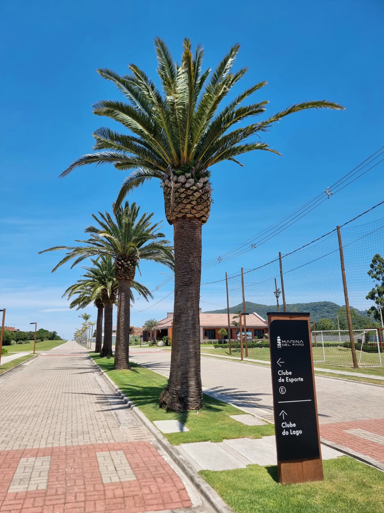 Terreno, 336 m² - Foto 5