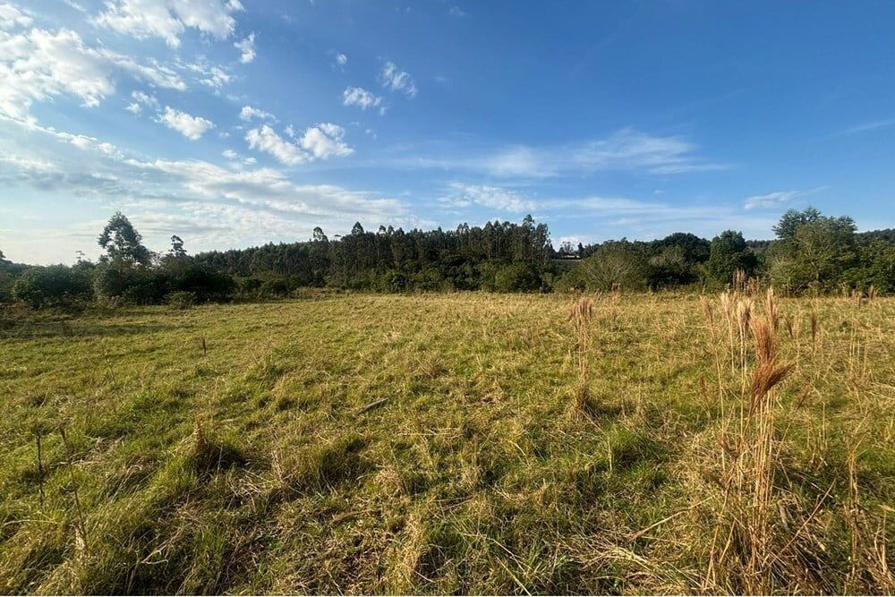 Fazenda à venda, 562998m² - Foto 14