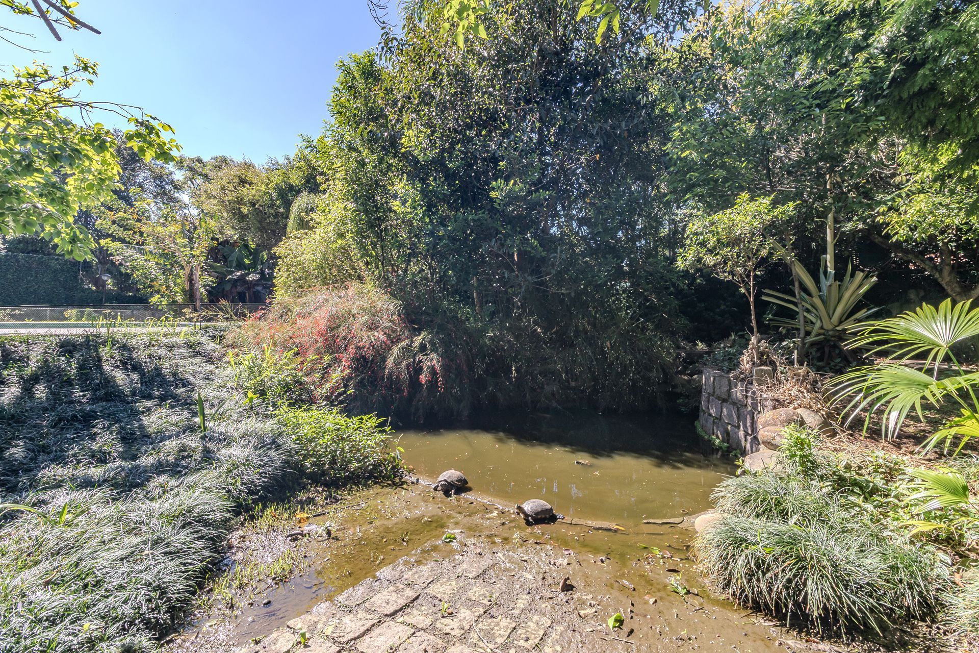 Casa, 4 quartos, 241 m² - Foto 32