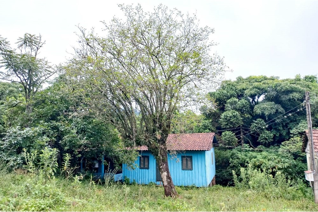 Terreno à venda, 59999m² - Foto 8