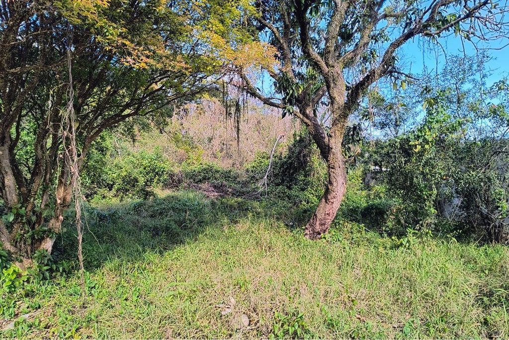 Terreno, 261 m² - Foto 8