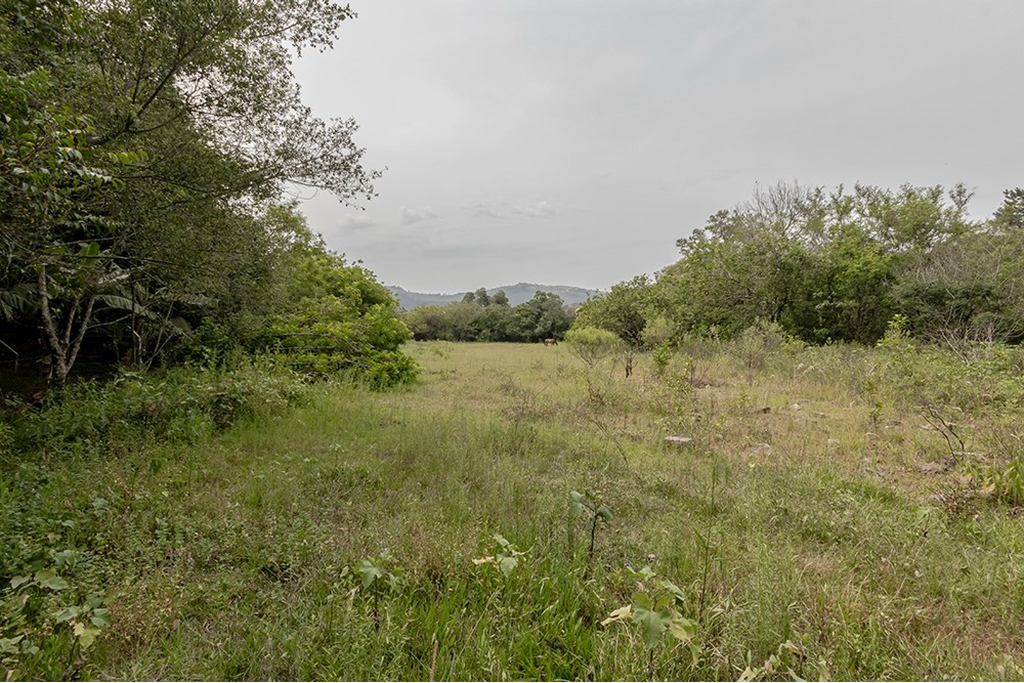 Terreno, 1 hectares - Foto 5