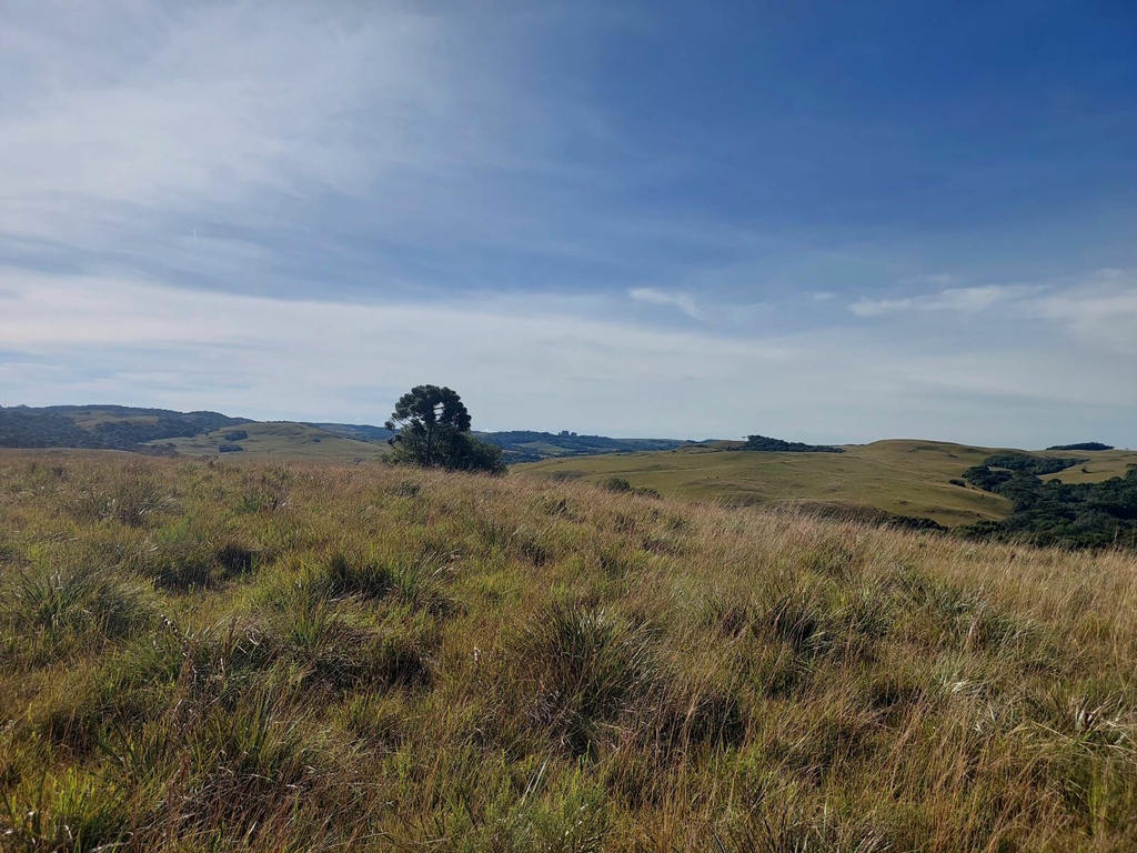 Fazenda, 1 m² - Foto 18