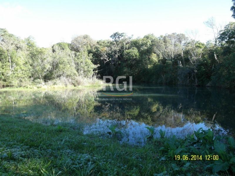 Terreno, 4 hectares - Foto 7