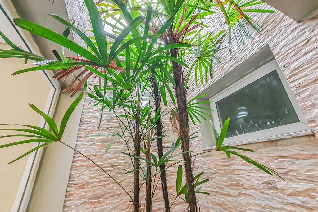 Casa, 4 quartos, 392 m² - Foto 12