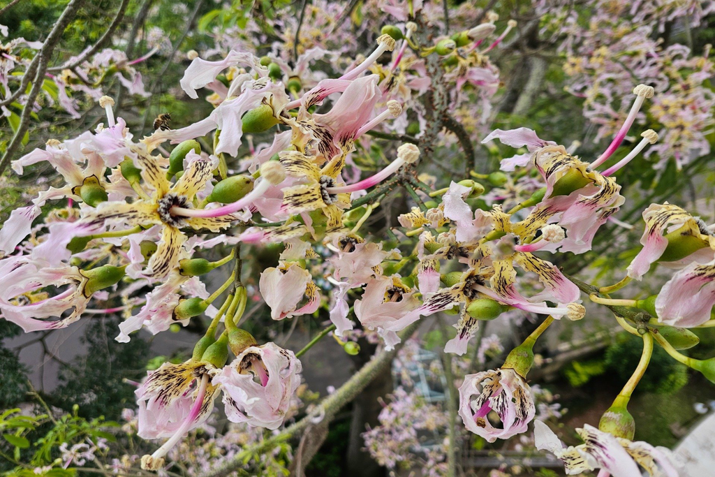 Apartamento, 3 quartos, 95 m² - Foto 22