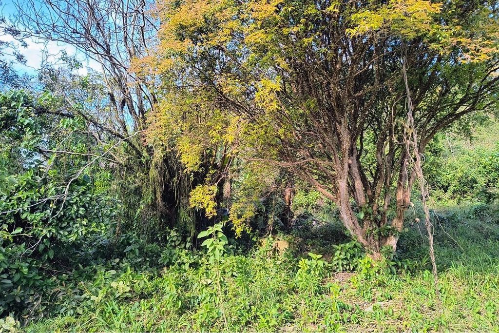 Terreno, 261 m² - Foto 9