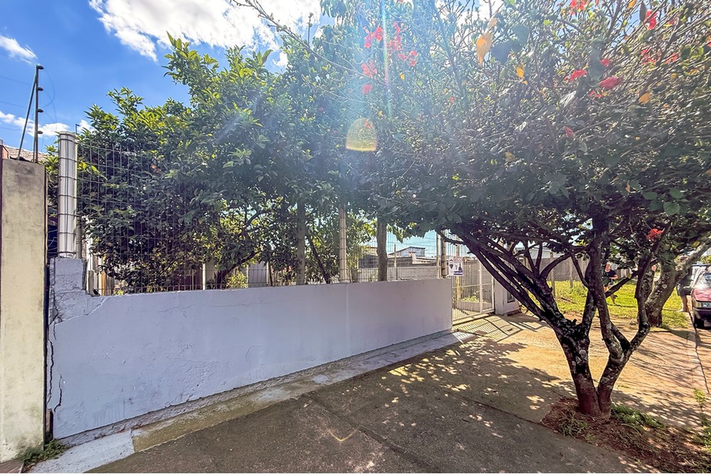 Terreno, 299 m² - Foto 4