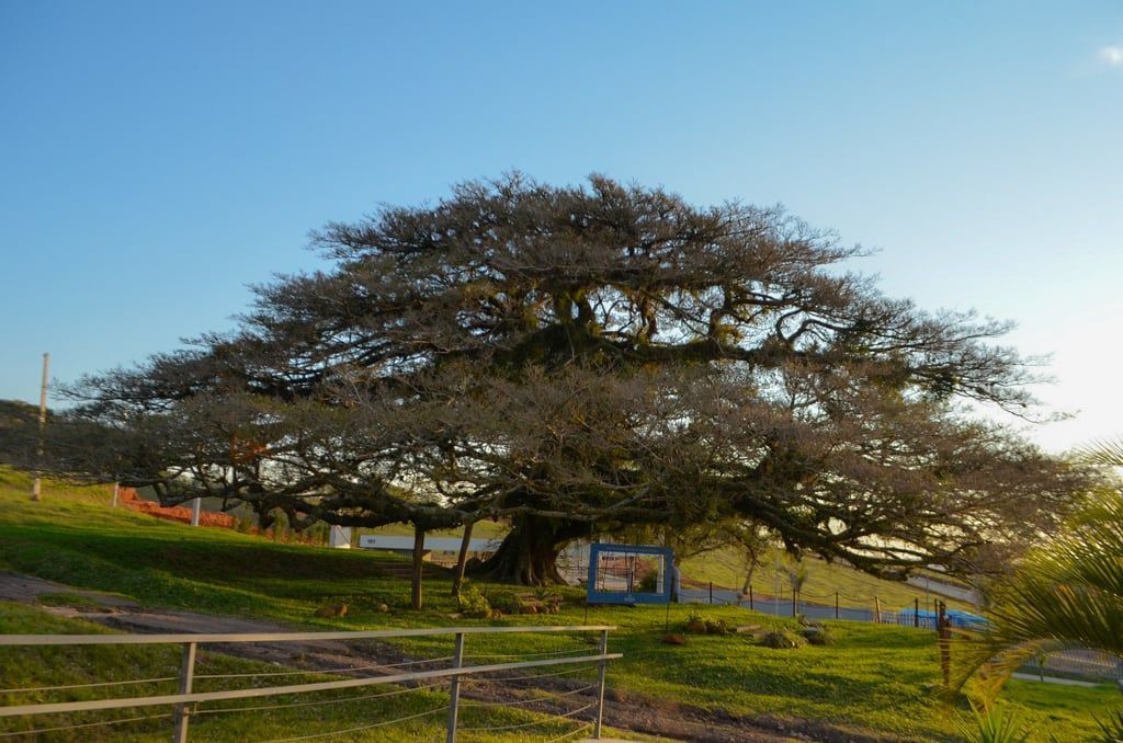 Terreno à venda - Foto 18