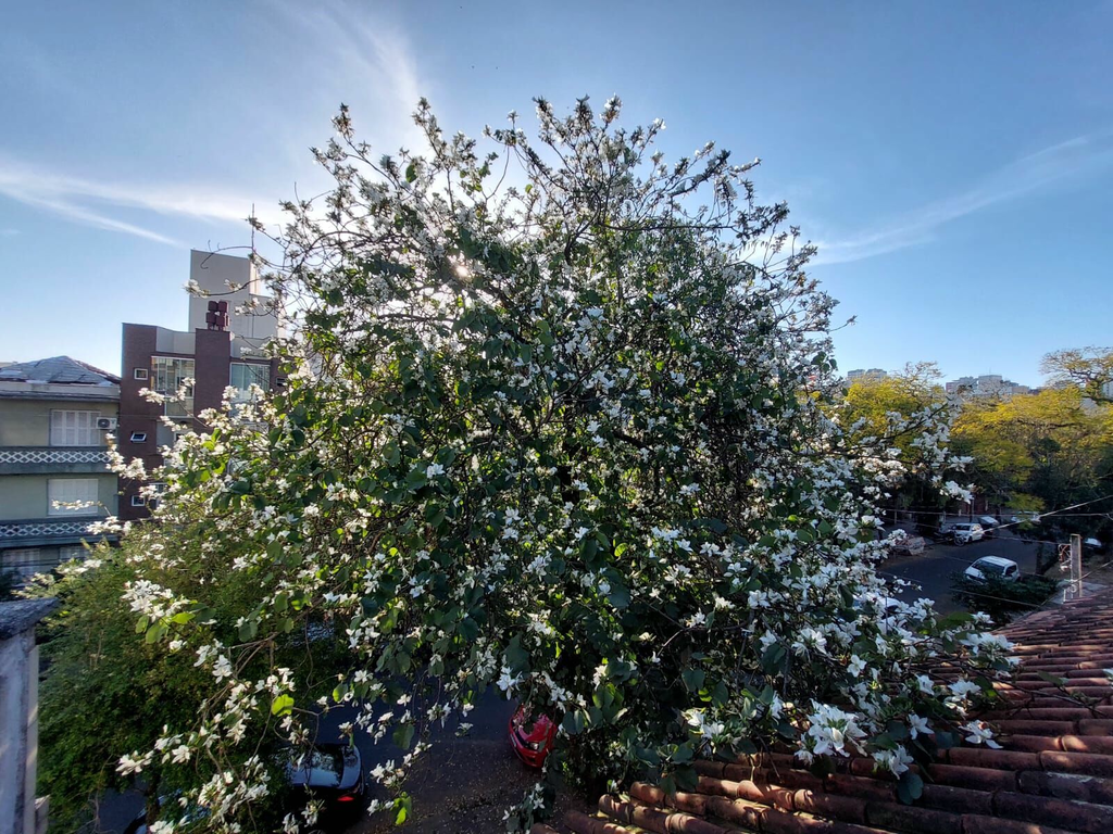 Casa, 5 quartos, 175 m² - Foto 25