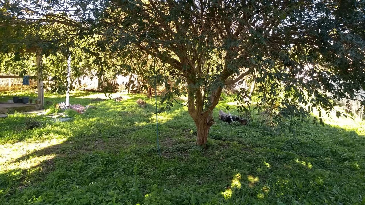 Sítio, 3 quartos, 1200 m² - Foto 12