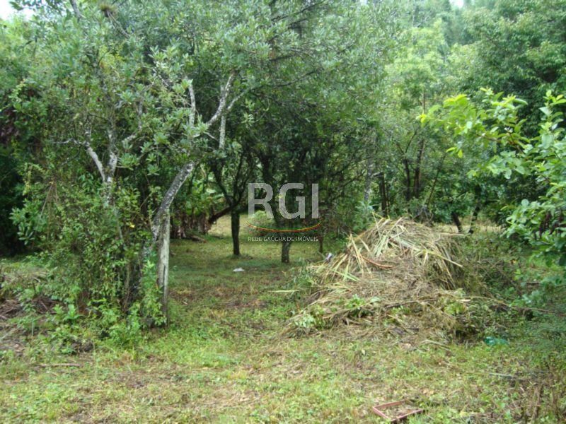 Terreno, 850 m² - Foto 4