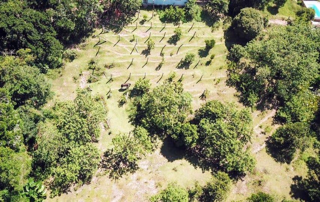 Terreno, 6797 m² - Foto 8