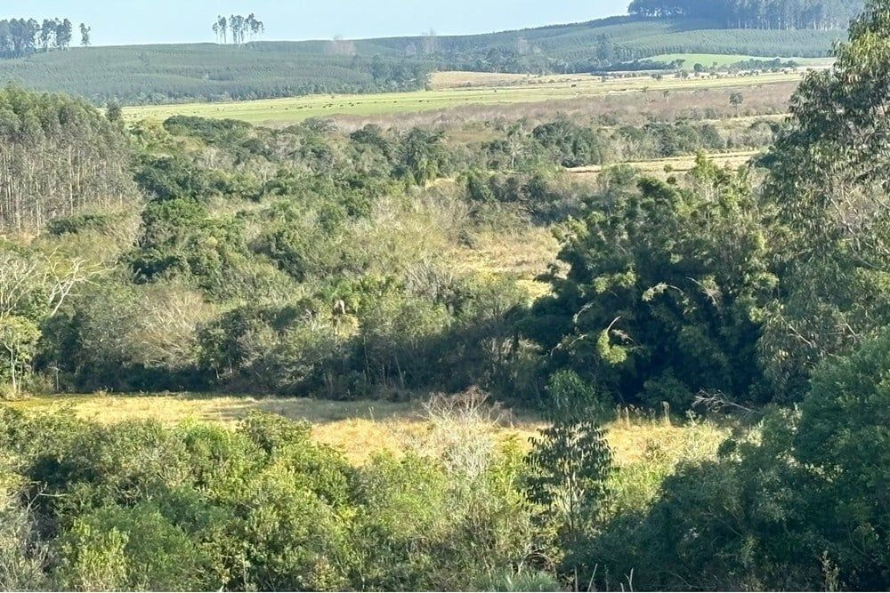 Fazenda à venda, 562998m² - Foto 20