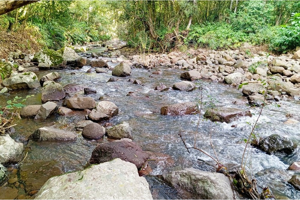 Chácara à venda, 265001m² - Foto 21