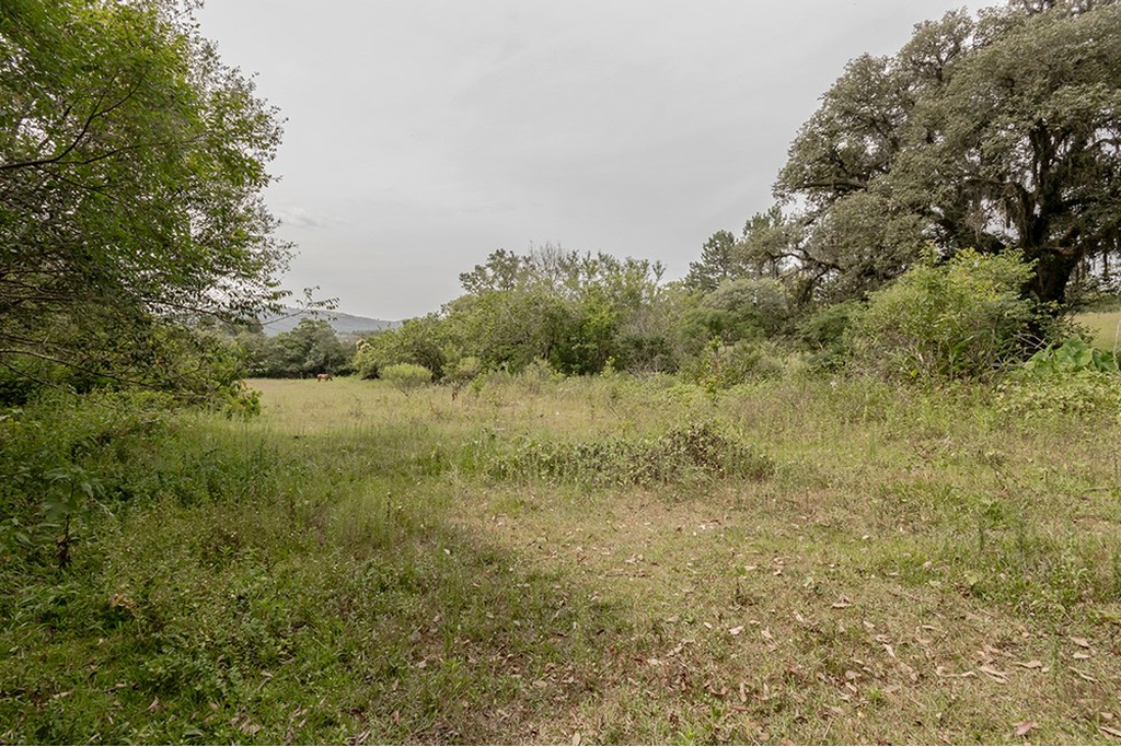 Terreno, 1 hectares - Foto 7