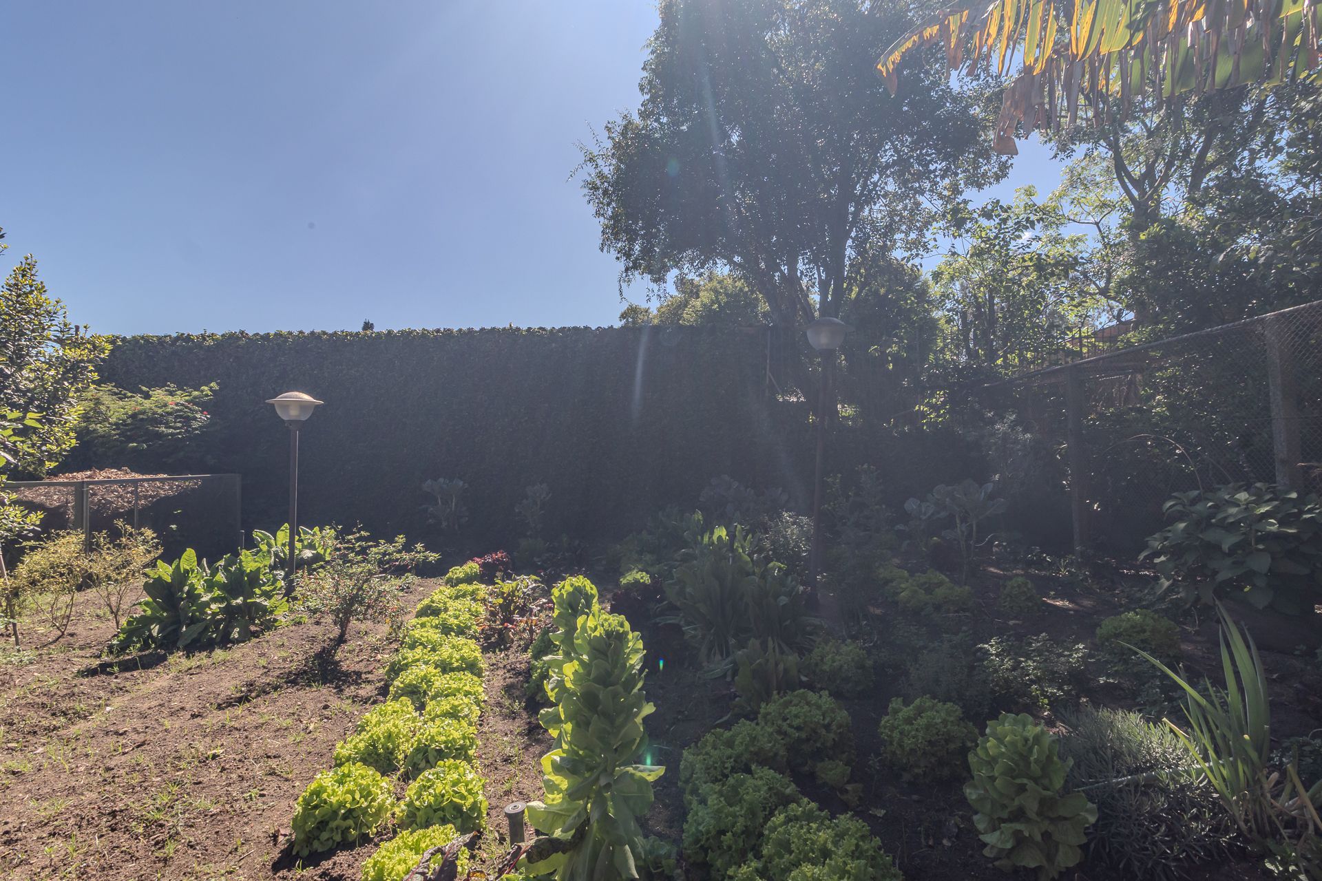 Casa, 4 quartos, 241 m² - Foto 41