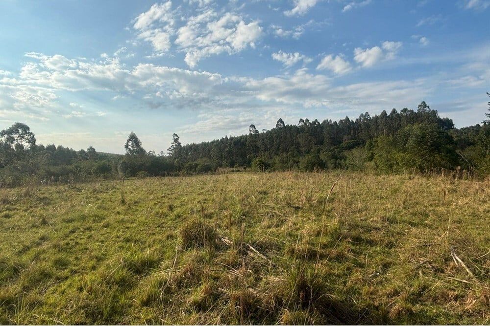 Fazenda à venda, 562998m² - Foto 15