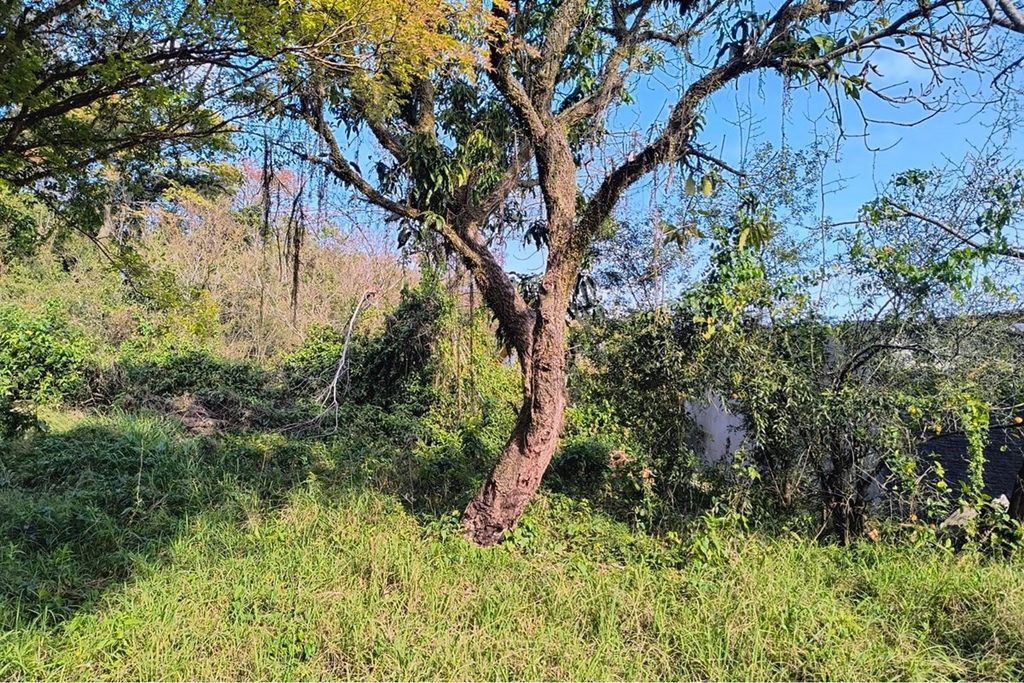 Terreno, 261 m² - Foto 11