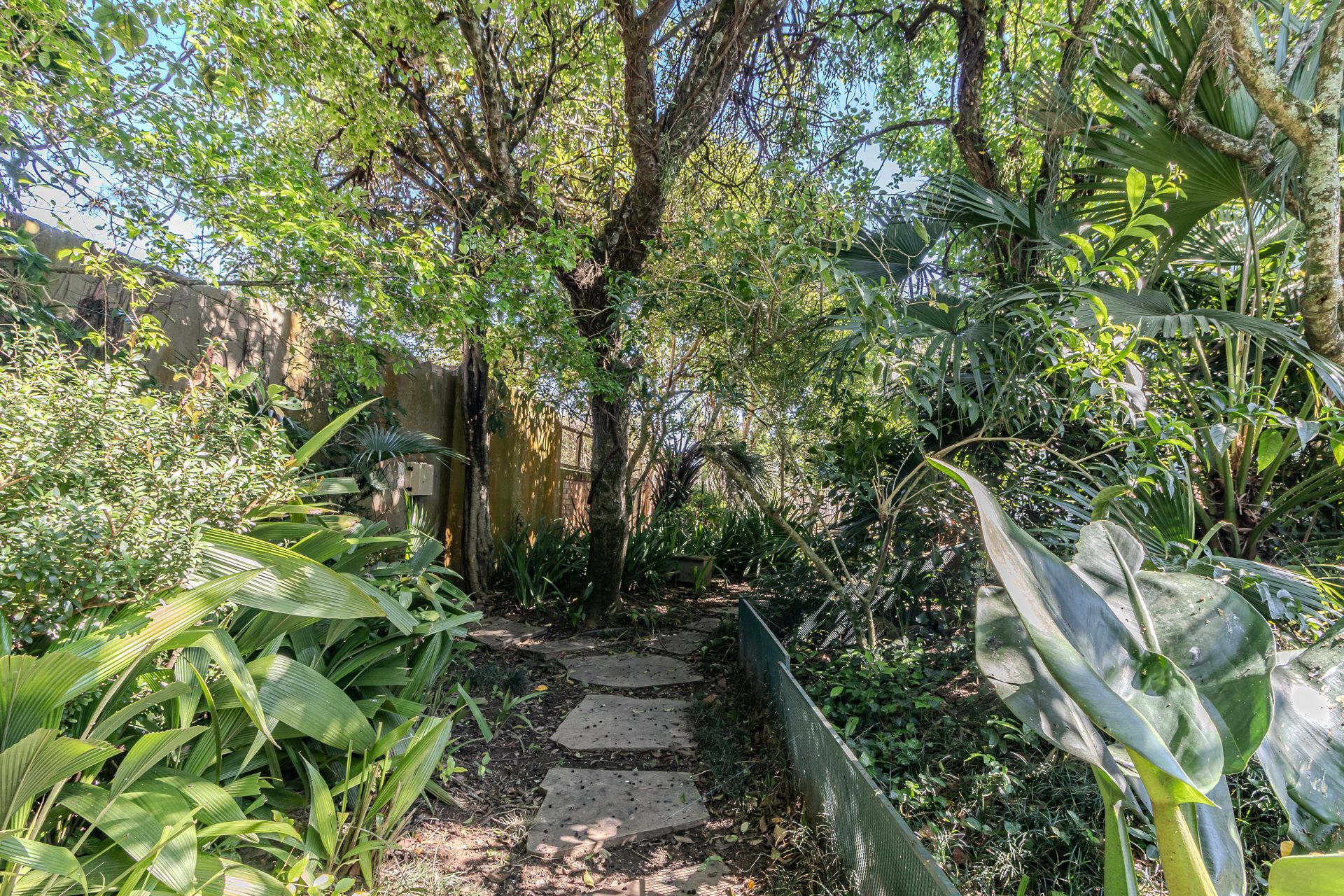 Casa, 4 quartos, 241 m² - Foto 36