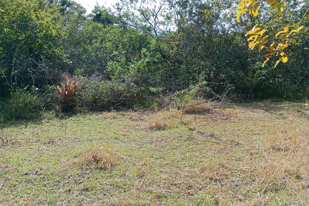 Sítio, 44076 m² - Foto 23