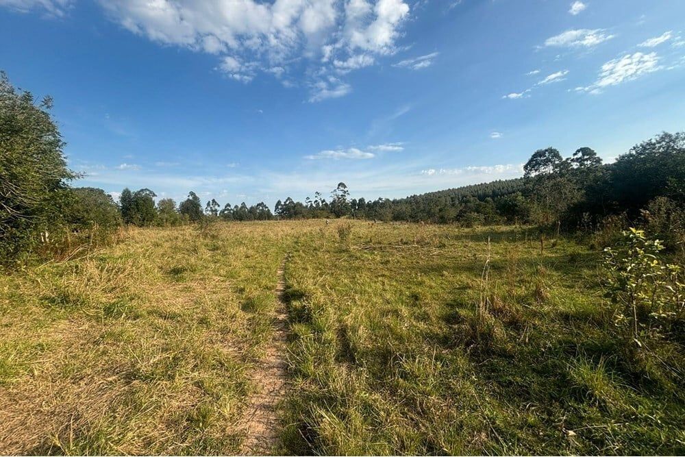Fazenda à venda, 562998m² - Foto 2
