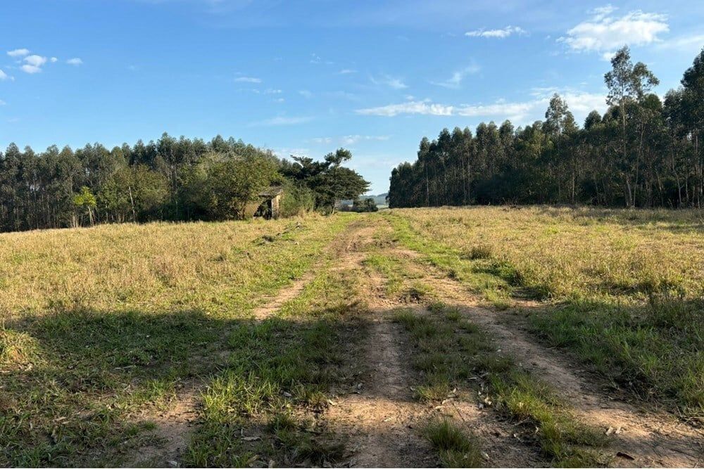 Fazenda à venda, 562998m² - Foto 6