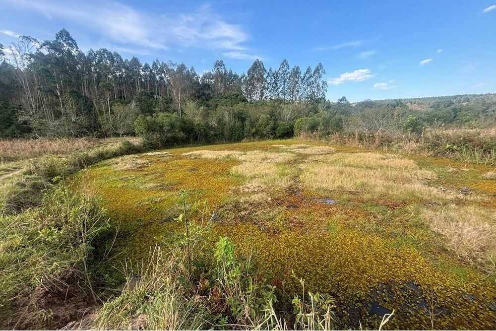 Fazenda à venda, 562998m² - Foto 12
