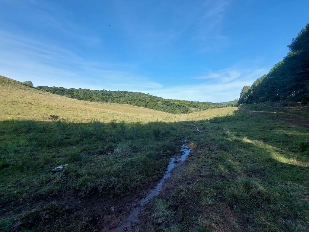 Fazenda à venda, 424m² - Foto 4