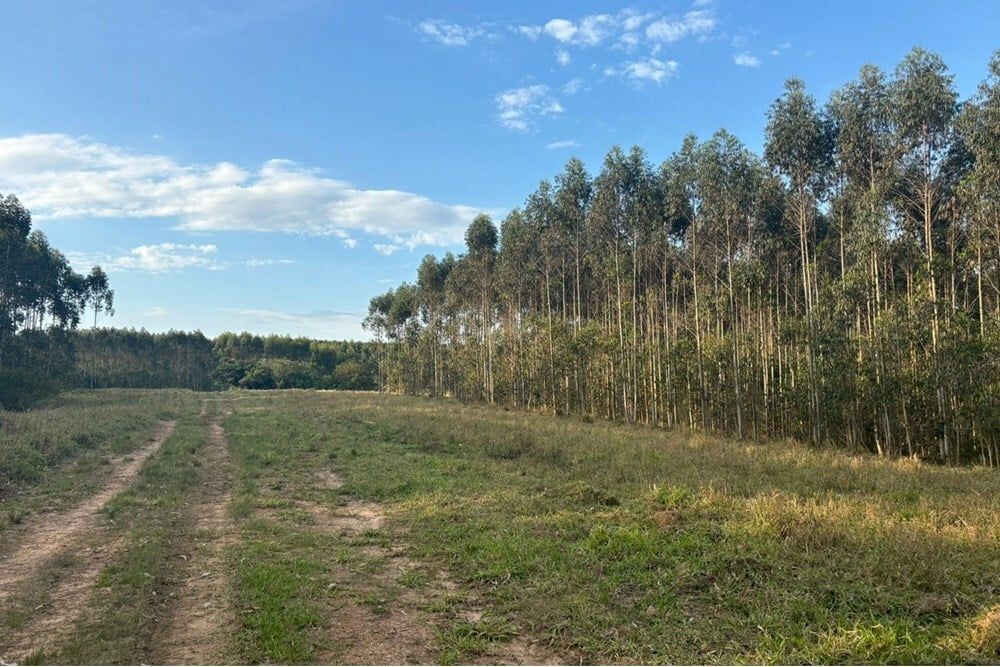 Fazenda à venda, 562998m² - Foto 16