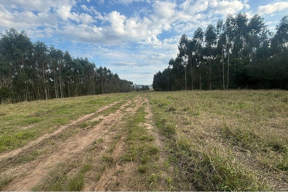 Fazenda à venda, 562998m² - Foto 17