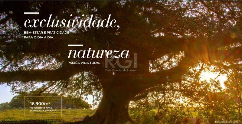 Terreno, 300 m² - Foto 4