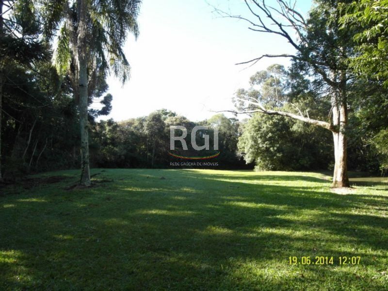 Terreno, 4 hectares - Foto 4