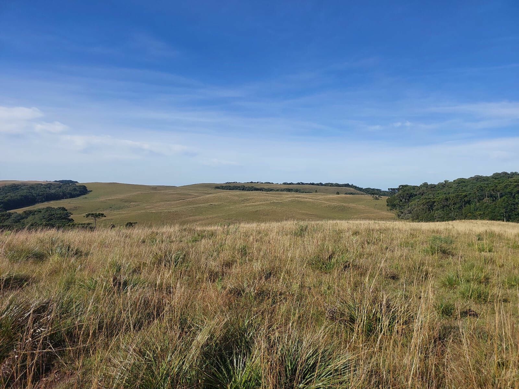 Fazenda à venda, 424m² - Foto 21