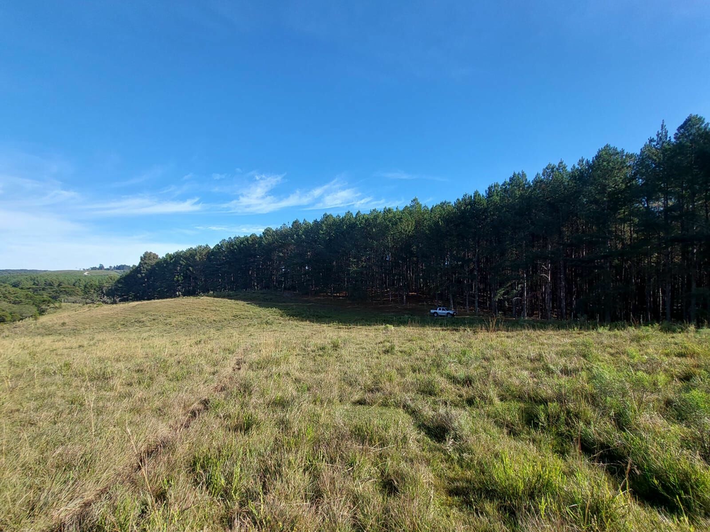 Fazenda, 1 m² - Foto 10