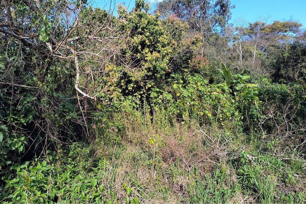 Terreno, 261 m² - Foto 13