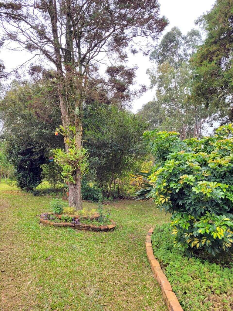 Casa à venda com 2 quartos, 134m² - Foto 16