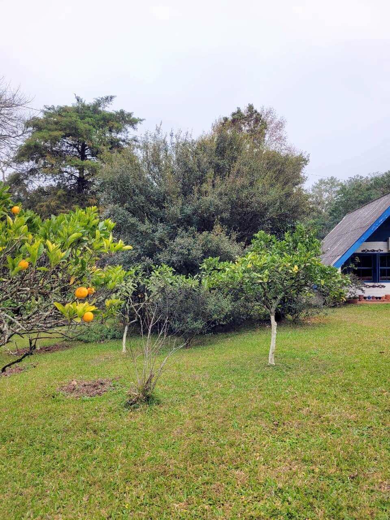 Casa à venda com 2 quartos, 134m² - Foto 10
