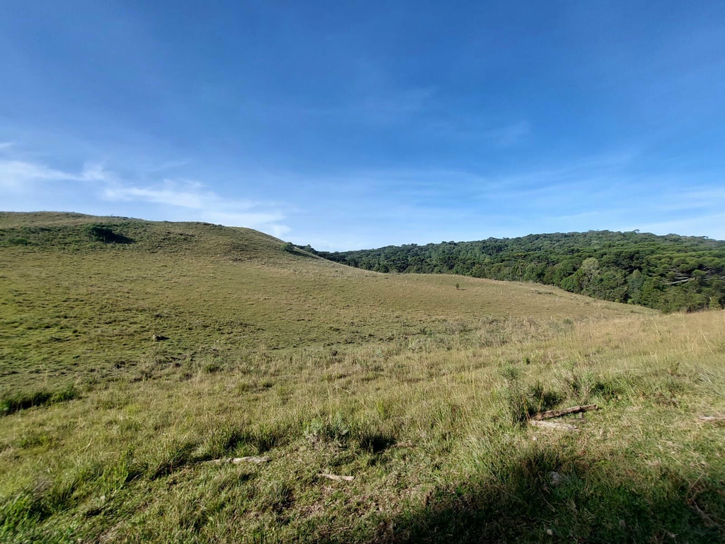 Fazenda à venda, 424m² - Foto 2
