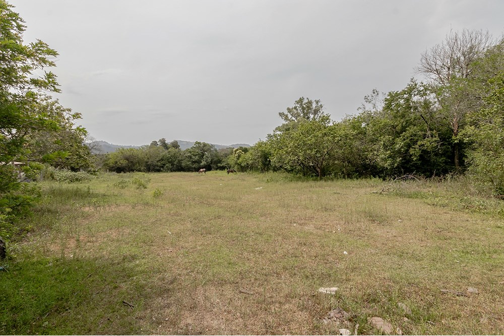 Terreno, 1 hectares - Foto 25