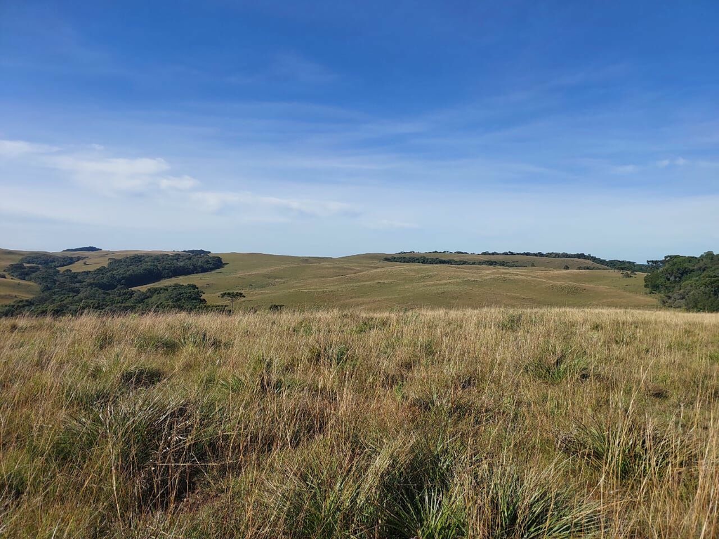 Fazenda, 1 m² - Foto 22