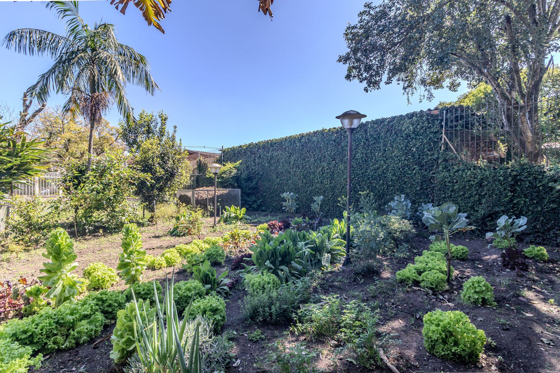 Casa, 4 quartos, 241 m² - Foto 42