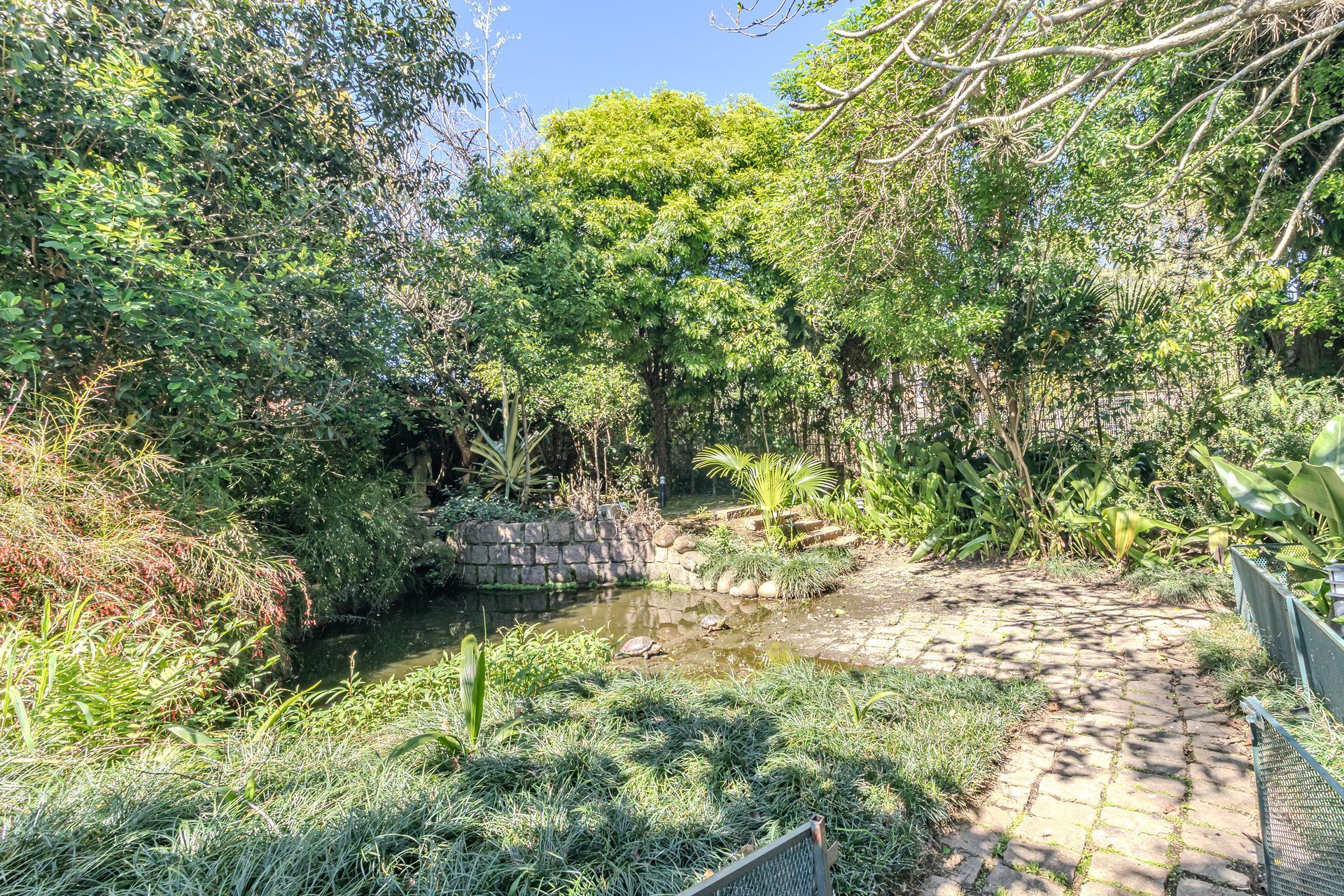 Casa, 4 quartos, 241 m² - Foto 31