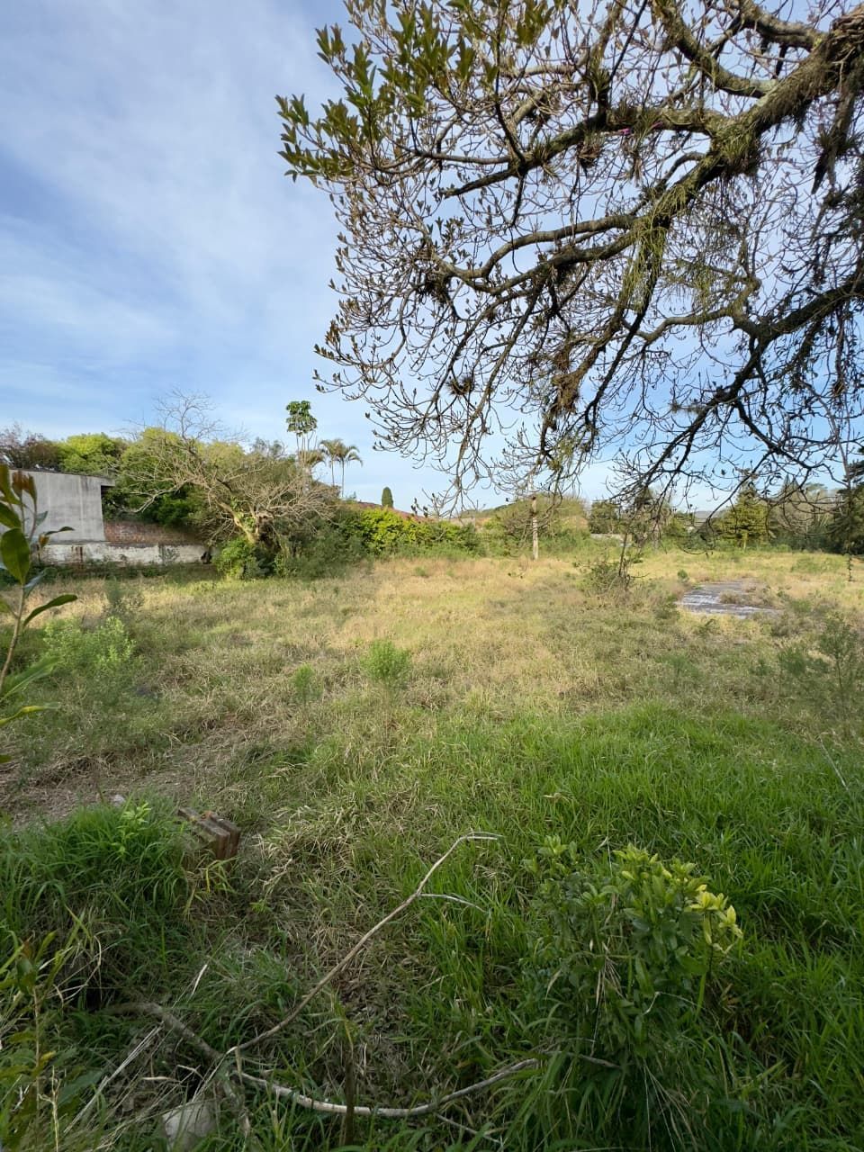 Terreno, 6952 m² - Foto 5