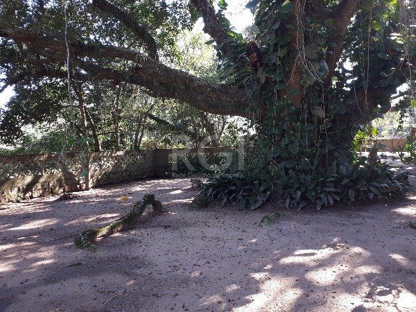 Sítio à venda com 3 quartos, 149m² - Foto 18